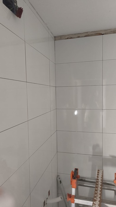 Alicatado de baño en blanco - Reformas Marian Zaragoza