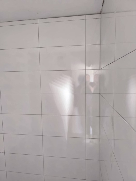 Alicatado de baño terminado - Reformas Marian Zaragoza