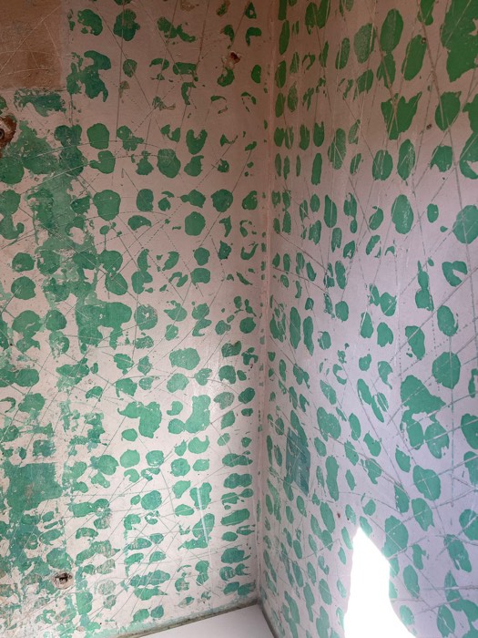 Pared preparada tras retirar el alicatado antiguo - Reformas Marian Zaragoza