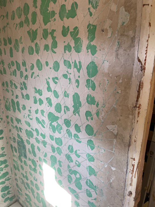 Pared preparada tras retirar el alicatado antiguo - Reformas Marian Zaragoza